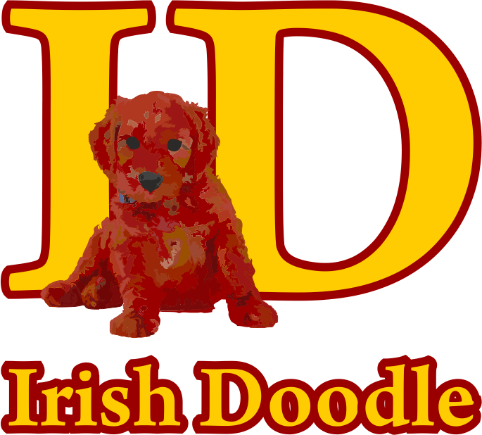 Irish Doodle